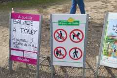 IMG-20211011-WA0002