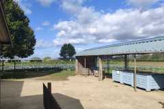 IMG-20211020-WA0000