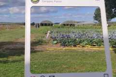 IMG-20211020-WA0004