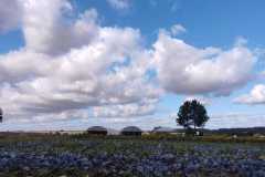 IMG-20211020-WA0007