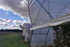 IMG-20211020-WA0009