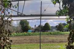IMG-20211020-WA0011