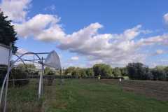 IMG-20211020-WA0012