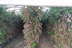 IMG-20211020-WA0013